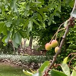 Les Fontanelles Du Quercy Blanc *