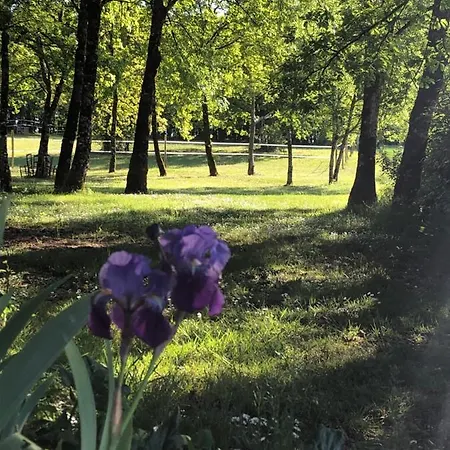 Les Fontanelles Du Quercy Blanc Prázdninový dům *