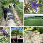 Les Fontanelles Du Quercy Blanc Prázdninový dům Montcuq