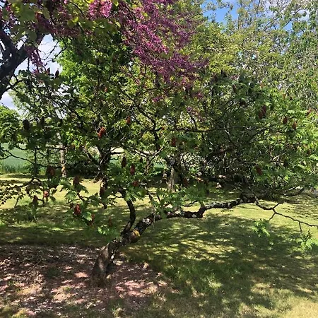 Les Fontanelles Du Quercy Blanc Montcuq