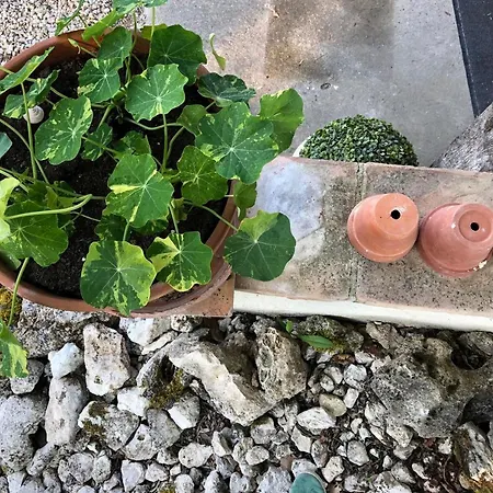 Les Fontanelles Du Quercy Blanc * Montcuq