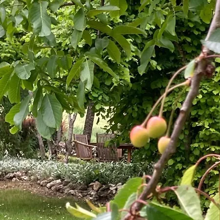 Les Fontanelles Du Quercy Blanc *