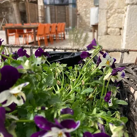 Les Fontanelles Du Quercy Blanc