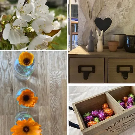 Les Fontanelles Du Quercy Blanc Feriehus *