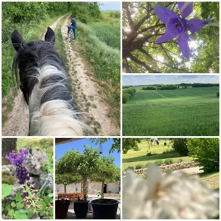 Les Fontanelles Du Quercy Blanc Holiday home Montcuq