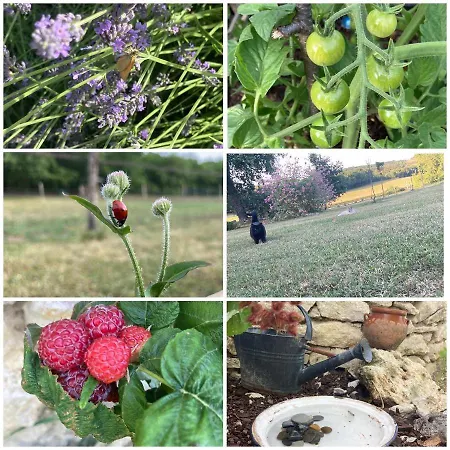 Les Fontanelles Du Quercy Blanc Holiday home Montcuq