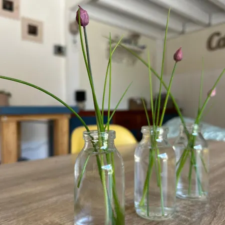 Les Fontanelles Du Quercy Blanc Feriehus *