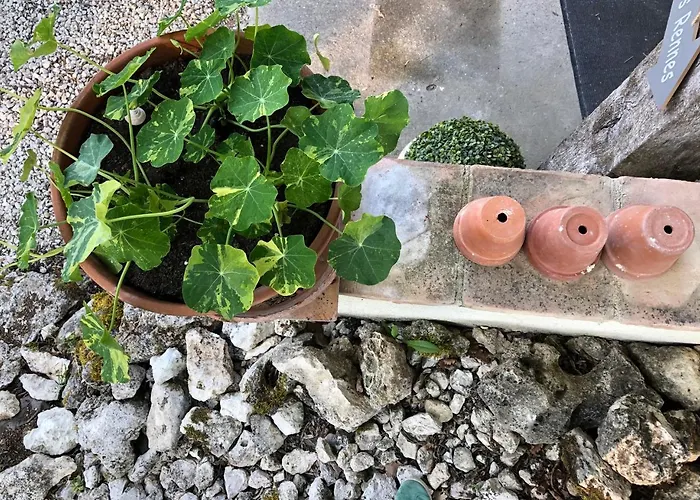 Les Fontanelles Du Quercy Blanc * Montcuq