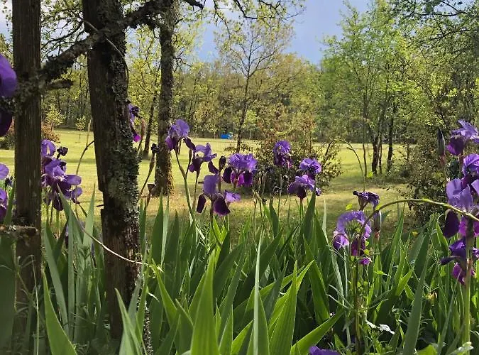 Ferienhaus Les Fontanelles Du Quercy Blanc Montcuq