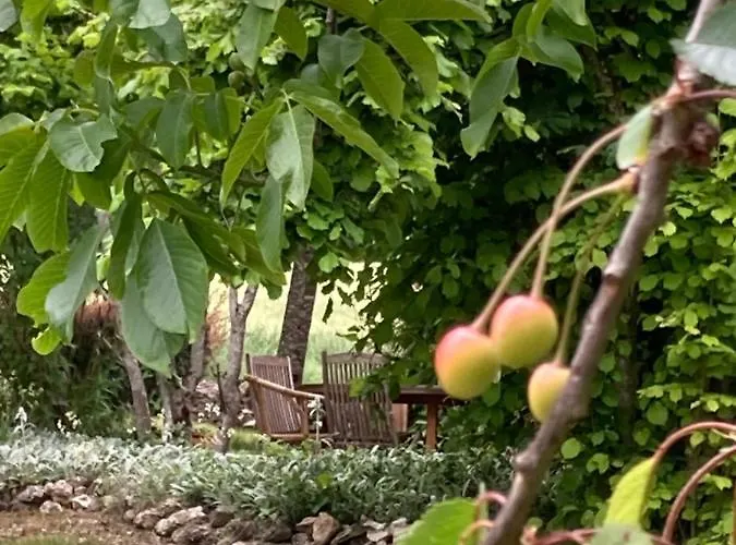 Les Fontanelles Du Quercy Blanc *