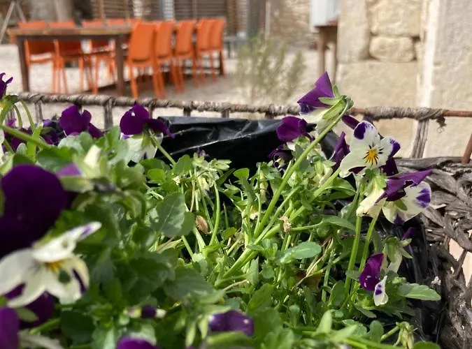 Les Fontanelles Du Quercy Blanc