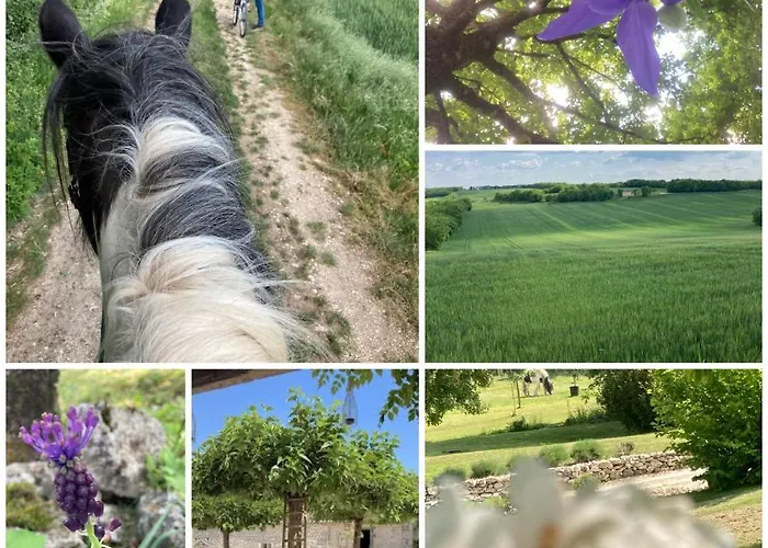 Les Fontanelles Du Quercy Blanc Дом отдыха Montcuq