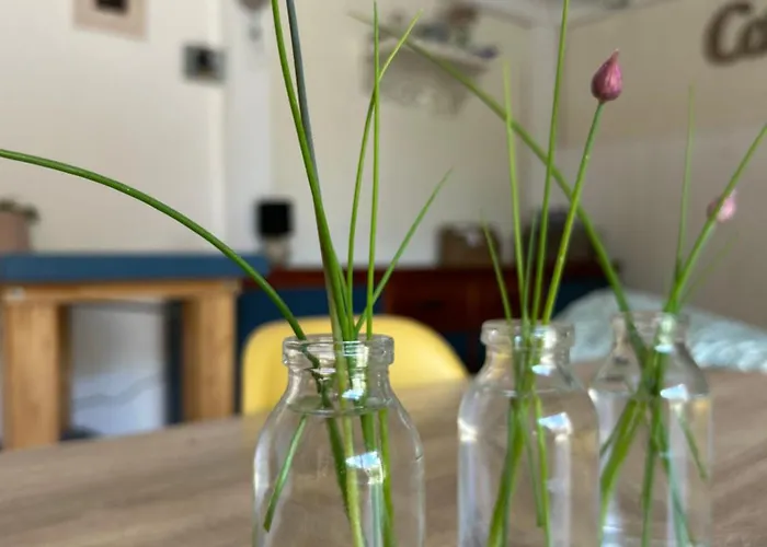 Les Fontanelles Du Quercy Blanc Дом отдыха *